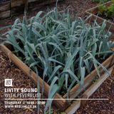 Livity Sound w/ Peverelist - 25th February 2016