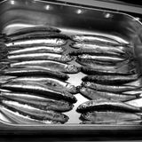 FIER. - Fresh& Crispy