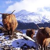 Al & Jack's Sunday Stroll - Scotland 29.09.14