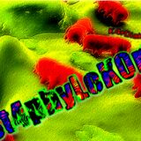 St4phyloK0r3