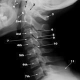 Slipped Disc. A Journey Through Mystic, Tribal, Deep House Music
