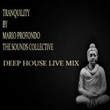 Mario Profondo The Sounds Collective Exclusive Mix