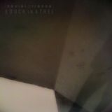 A Duck in a Tree 2016-02-27 | Silence Serves Us Well
