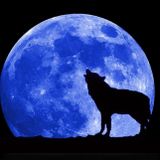 Getting Ready to Live on the Moon