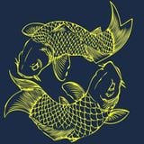 Wierd Fish