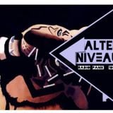 ALERTNIVEAU5 RADIOPANIK 105.4 (Be 2016-03-25)