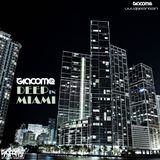 DEEP IN MIAMI