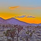 Joshua Tree Dirty Electro Mix - May 17, 2013 - Redux