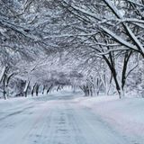 Anything Anything SNOW SHOW! Blizzard of 2016!