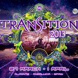 At Transition Festival 2013