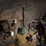 Tè di Mezzanotte & la cantina