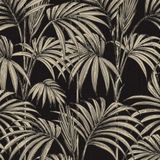 Amateurisme #17 *Tropicold