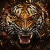 House mix #2