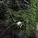 Twin Peetz : Microscopic 006 (November2014)