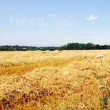 Türp - Harvest Time