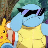 Turtle Swag