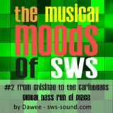 Dawee SWS - From Chisinau to the Caribbeans - Global Bass Run Di Place