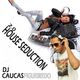 DJ CAUCAS FIGUEIREDO - HOUSE SEDUCTION 02 - NOV 2013