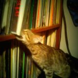 30 minutes of some 80s tunes.. vol 2
