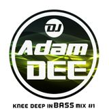 Knee Deep In Bass Mix #1