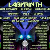 Theo Tzu and MC Pucona - Live at Shambhala 2012