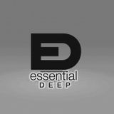 Sample Essential Deep DJ's 2016