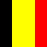 Belgian Newbeat-acid