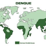Cruel Manuel aka Manu - No Foco Da Dengue