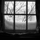 Snowy Window
