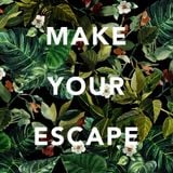 Make Your Escape - (Indie Electronic :: RnB :: Indie Dance)