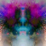 Saru - Electronic fireworks