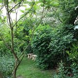 LIVE at Tyto Alba's Sanctuary Garden -0.2 --11/2012--