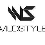Wildstyle DJ Show Kammeflimmern November 2013 www.deinpuls.de