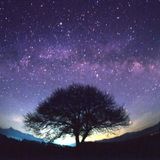 20150425