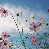 Under The Autumn Skies October 2014