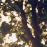 TNT (IX): Summer Into Autumn / OBG (2) 09142015