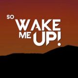 Avicii Vs. Steve Aoki, Chris Lake, Tujamo - Wake Me Boneless (dANIEL bORS Mashup)