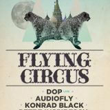 Audiofly - Live at Flying Circus, ARMA17, Moscow (24-11-2012)