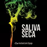 Saliva Seca