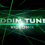 DJ SOLO - RIDDIM TUNES V-MIX VOL.7