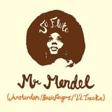 So Flute Sounds 001/ Mr Mendel