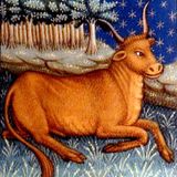 Poem for Taurus