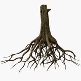 Back 2 the Roots by Marc