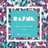 RAYNE - THE MIXTAPE (REMIXES + COVERS + INDIE)