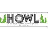 SALVATORE STALLONE/ COYOTE HOWL / .....Is It Balearic? MIX