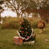 Sampleecious #54 (Christmas Mixtape)
