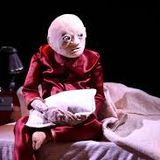 Cie Rouge Bombyx - Les marionnettistes