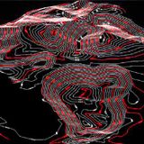 Topographic Surveys