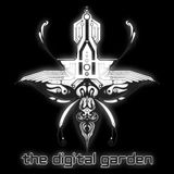 Flying over the Digital Garden