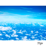 Flight